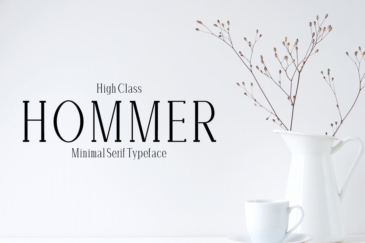Hommer Minimal Serif Typeface example image 1
