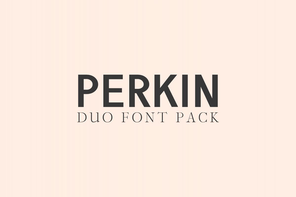 Perkin | Duo Font + Bonus Logo example image 1