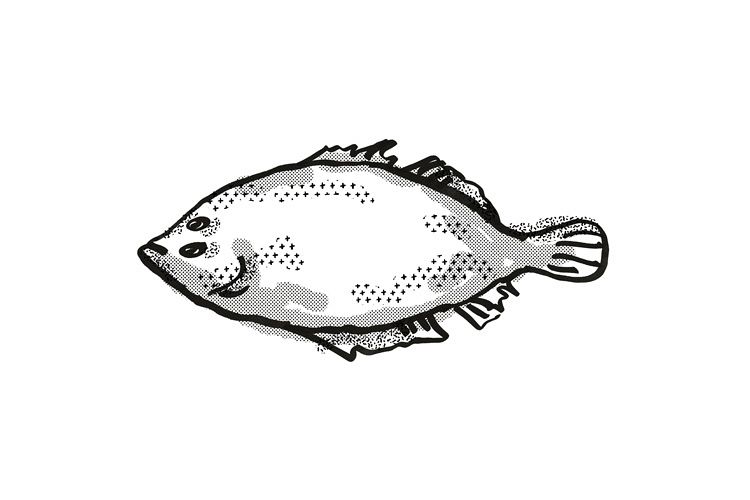 Lefteye Flounder Australian Fish Cartoon Retro Drawing example image 1