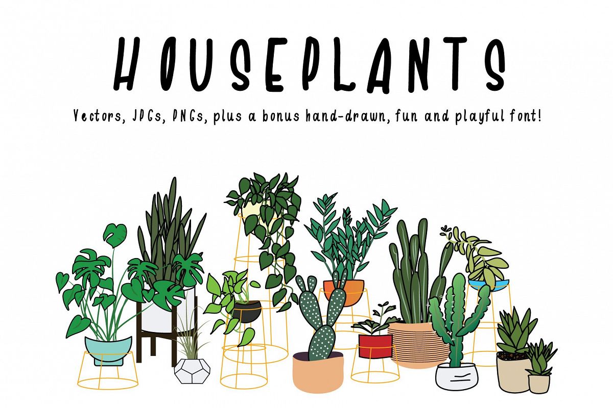 Houseplants Bundle example image 1
