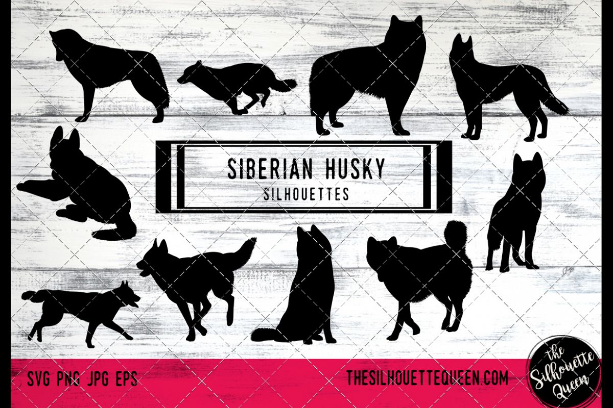 Download Siberian Husky Dog svg files cricut, silhouette clip art, Ve (142123) | Illustrations | Design ...