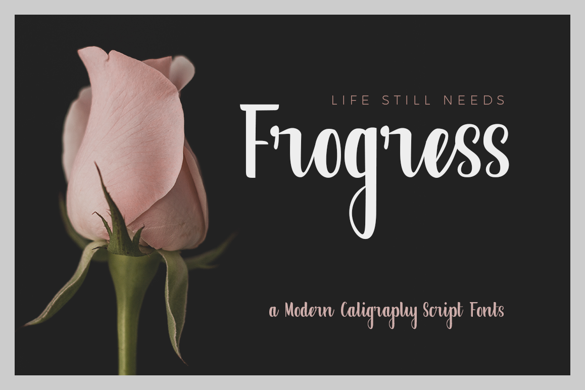 Frogress Fonts example image 1