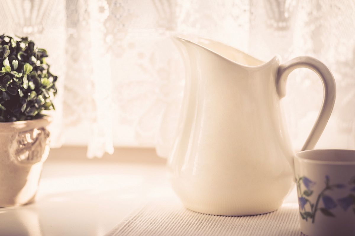 Milk Jug and Green Plant - Warm Tone