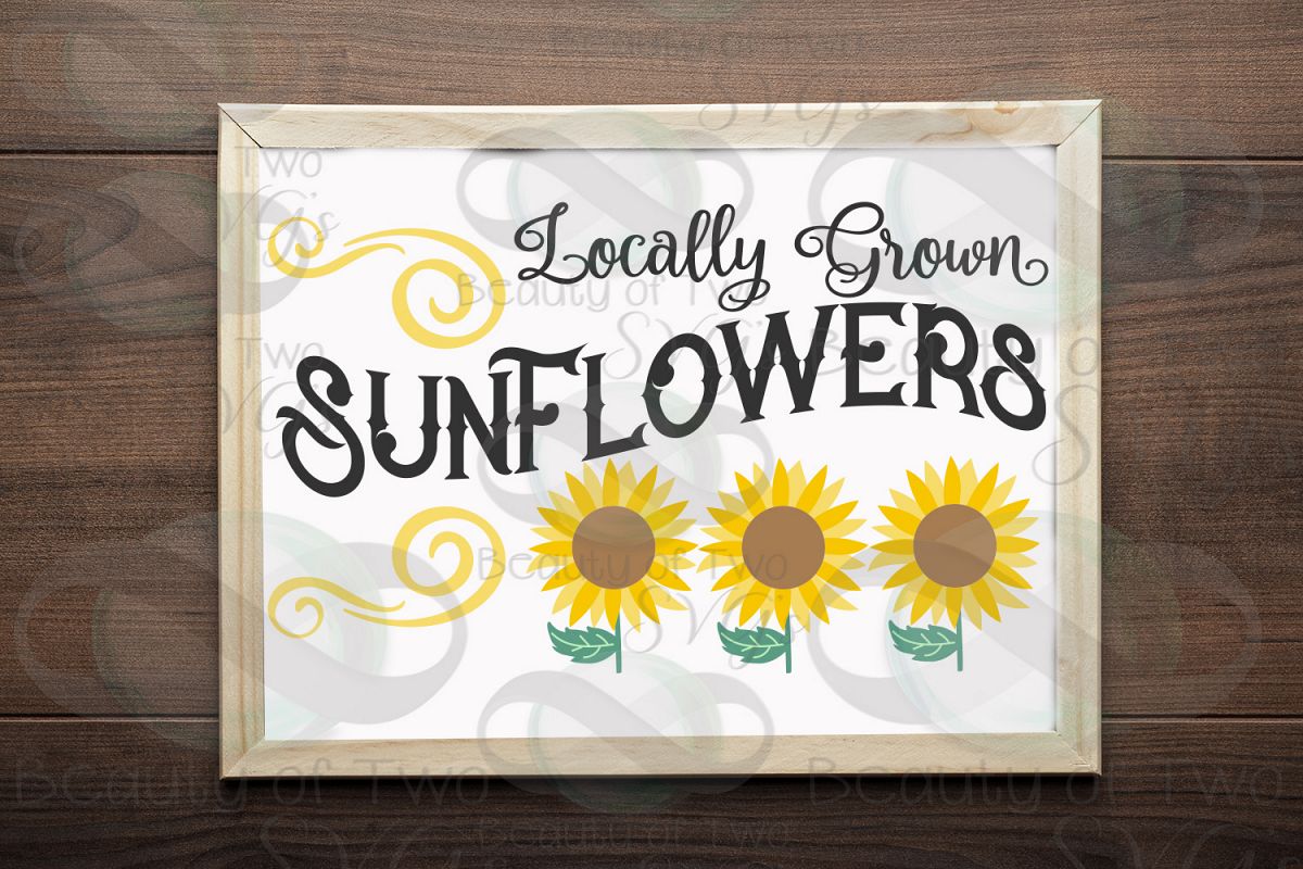 Download Sunflower svg and png, Summer Sunflower svg, vintage svg