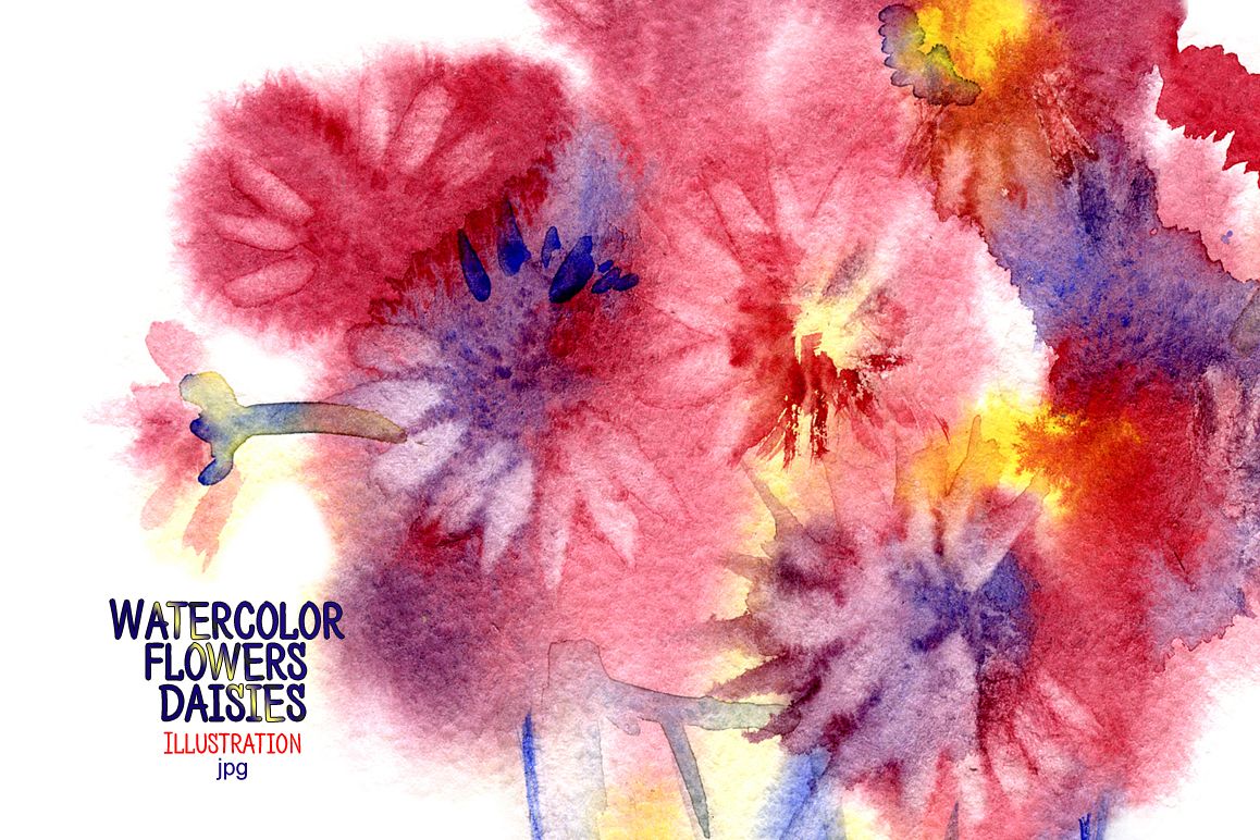 Watercolor flowers daisies example image 1