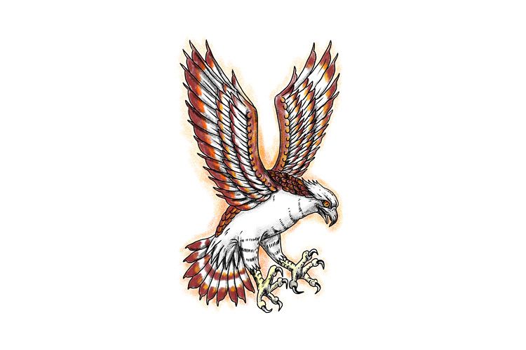 Osprey Sea Hawk Swooping Tattoo example image 1