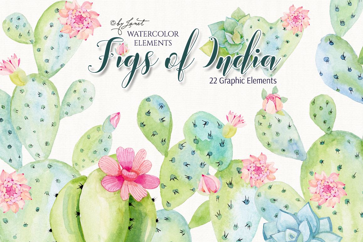 Figs of India Watercolor example image 1