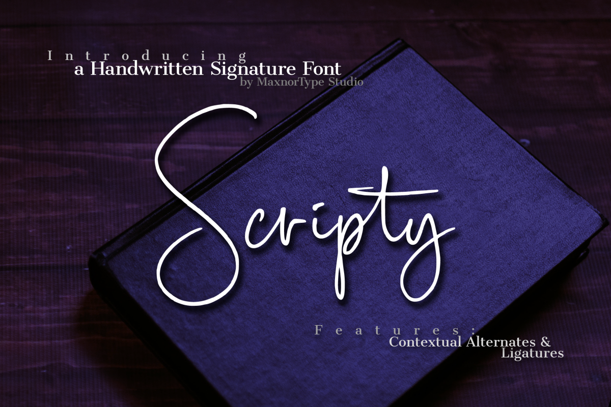 Scripty Handwritten Signature Font example image 1