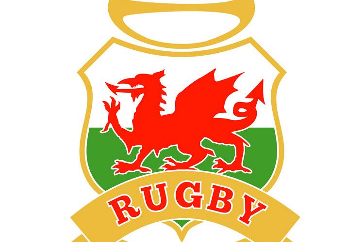 rugby ball wales red welsh dragon shield example image 1