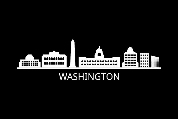 Washington Skyline example image 1