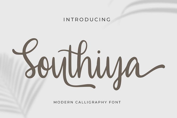 Southiya - Modern Calligraphy Font example image 1