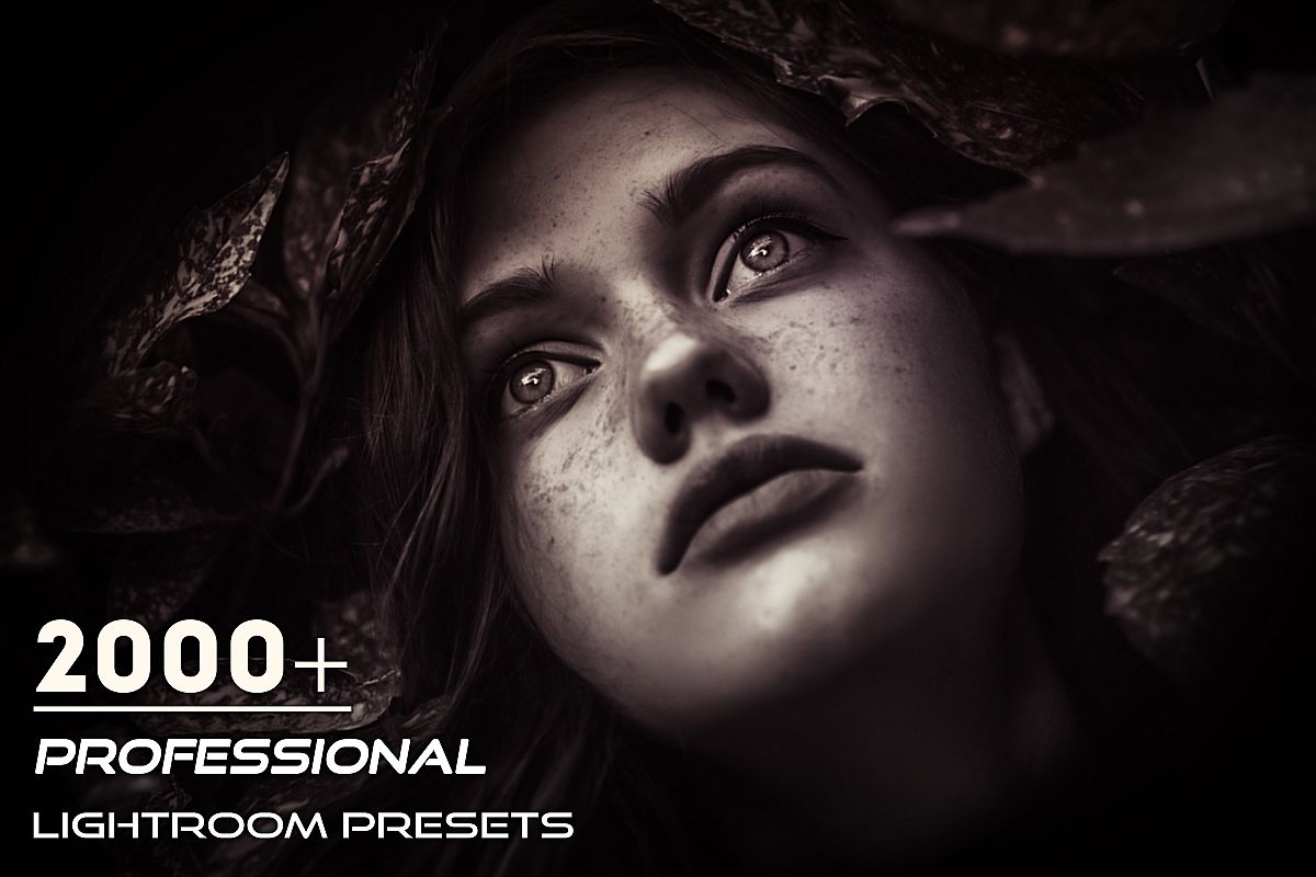 2000 Professional Lightroom Presets example image 1
