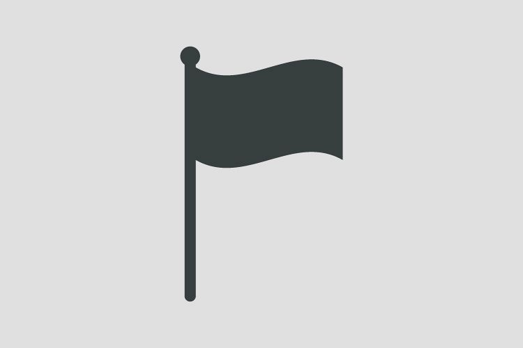 Flag icon example image 1