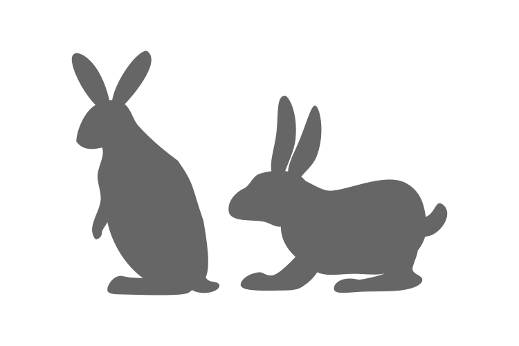 Rabbit Image Vector example image 1