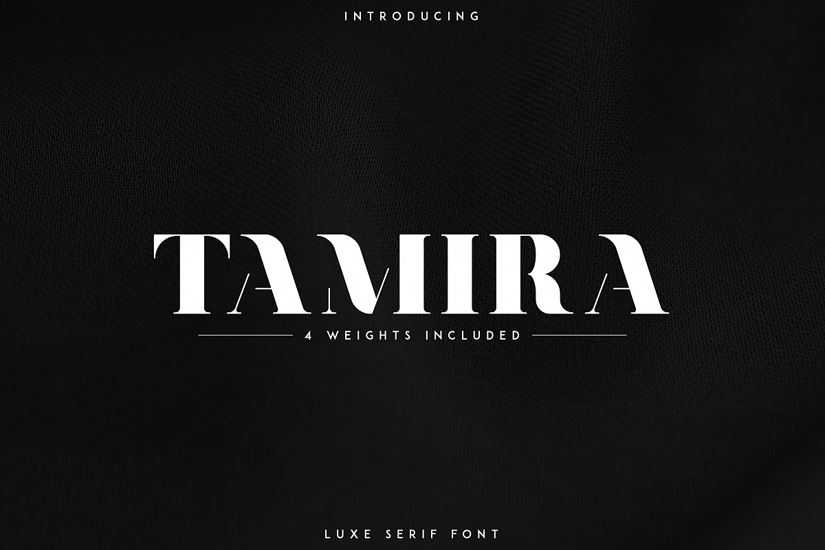 Tamira - Luxe Serif Typeface example image 1