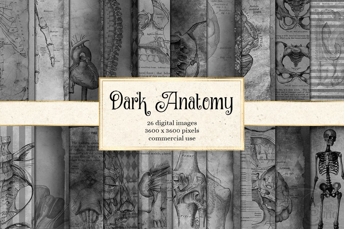 Dark Anatomy Digital Paper example image 1