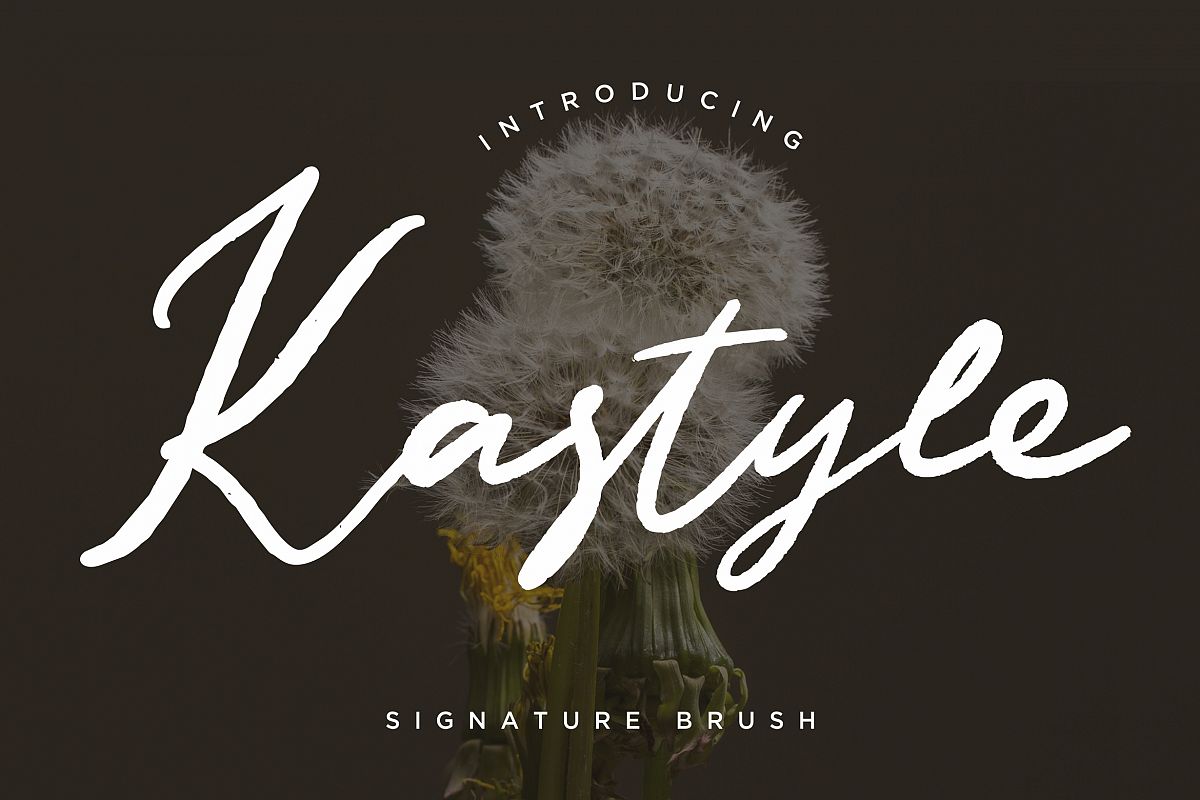Kastyle Signature Brush example image 1