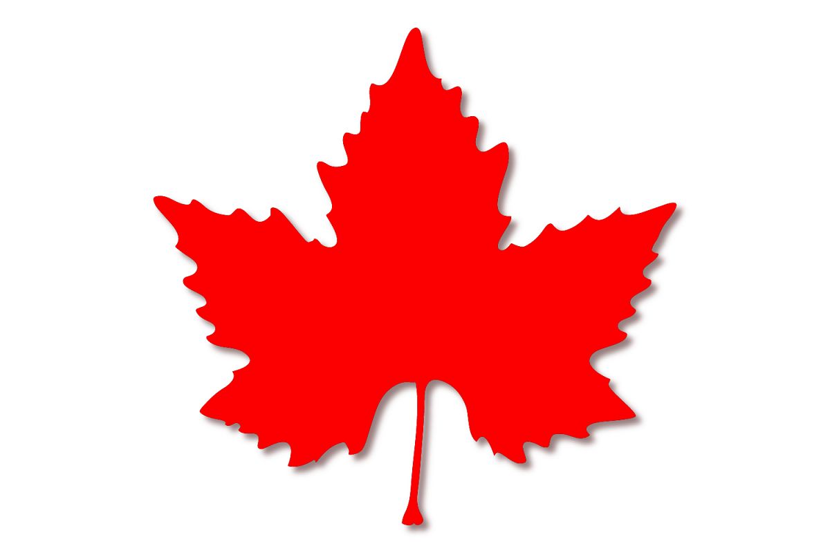 Red maple leaf - color example image 1
