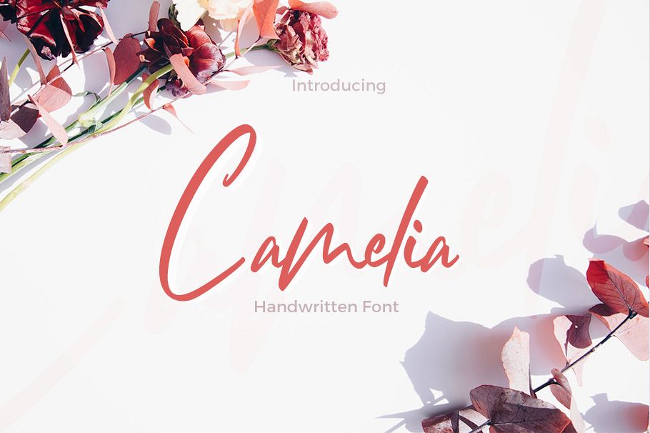 Camelia example image 1
