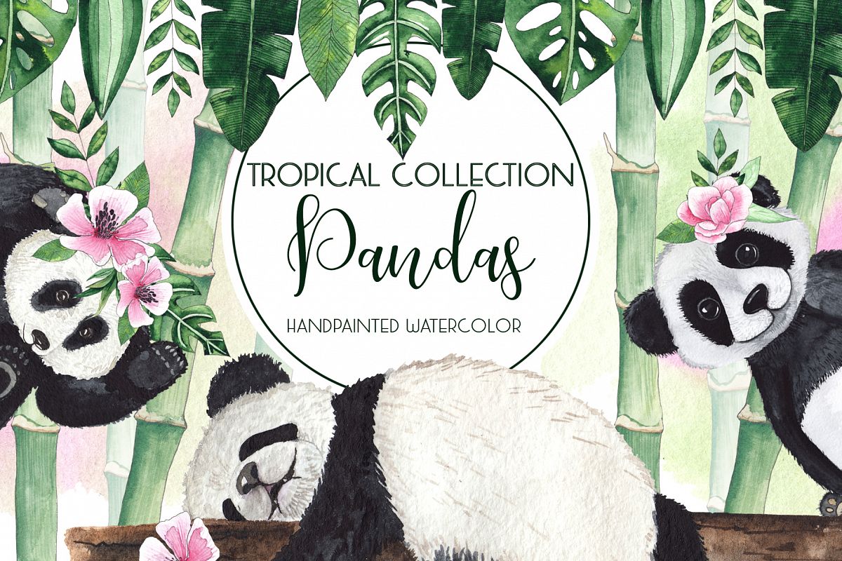 Pandas. Tropical collection example image 1
