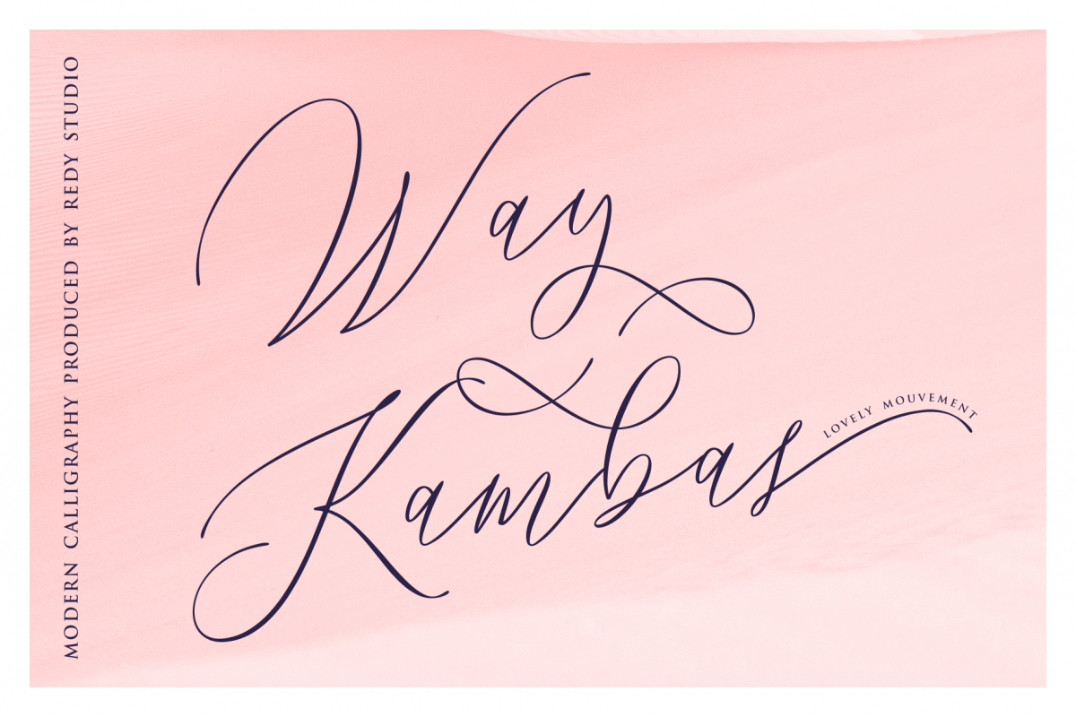 Way Kambas example image 1