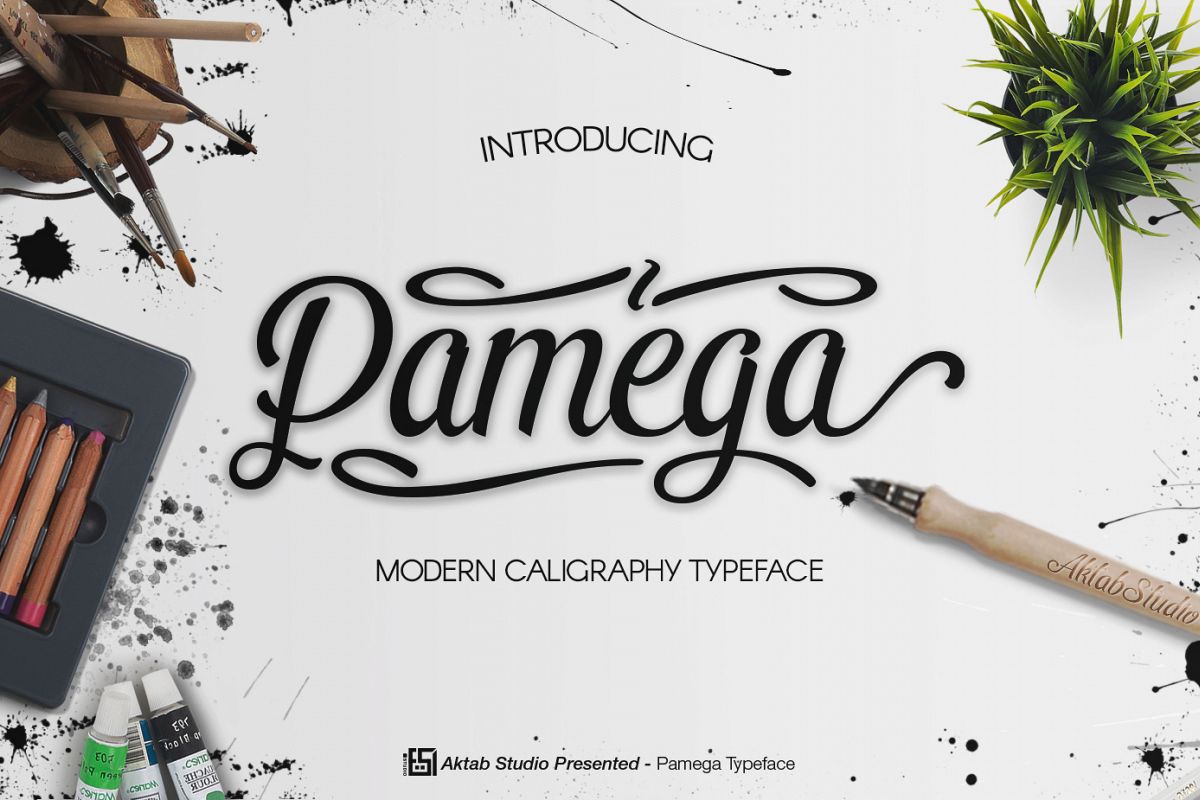 Pamega Script Font example image 1