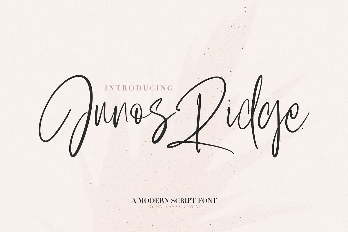 Junos Ridge - Handwritten Brush Font example image 1