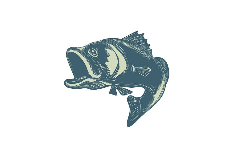 Barramundi Scratchboard Style example image 1