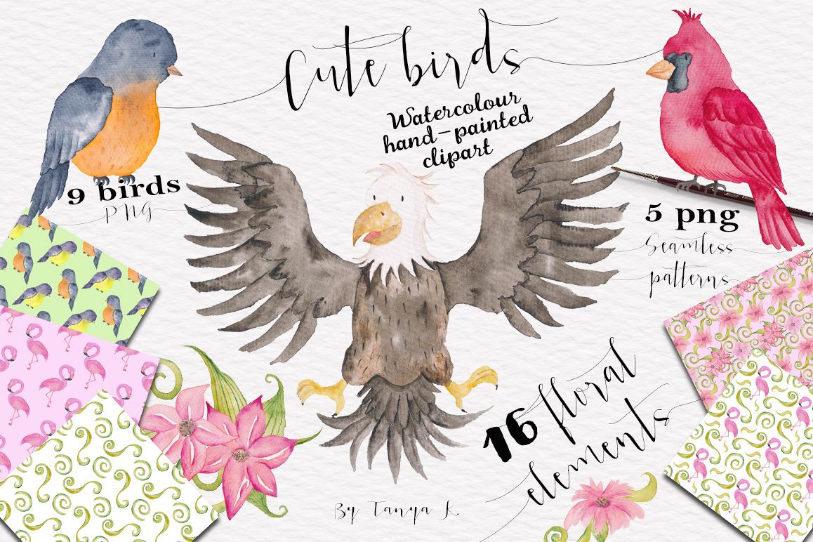 Cute Birds Watercolor Set example image 1