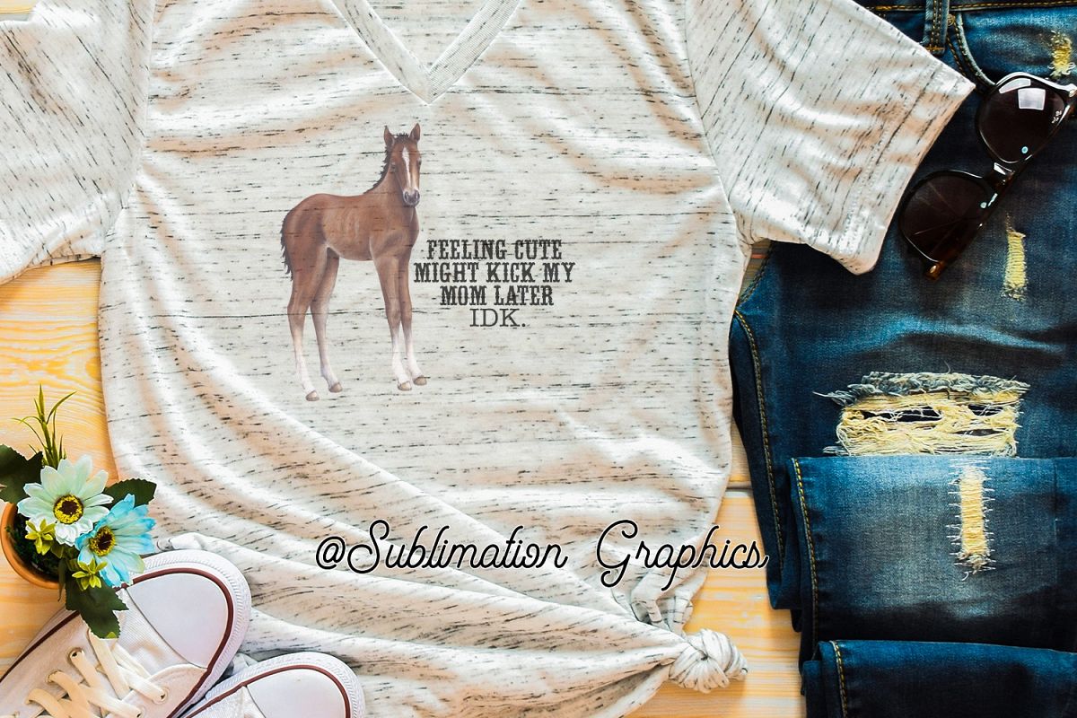 Feeling Cute Foal Sublimation Digital Download example image 1