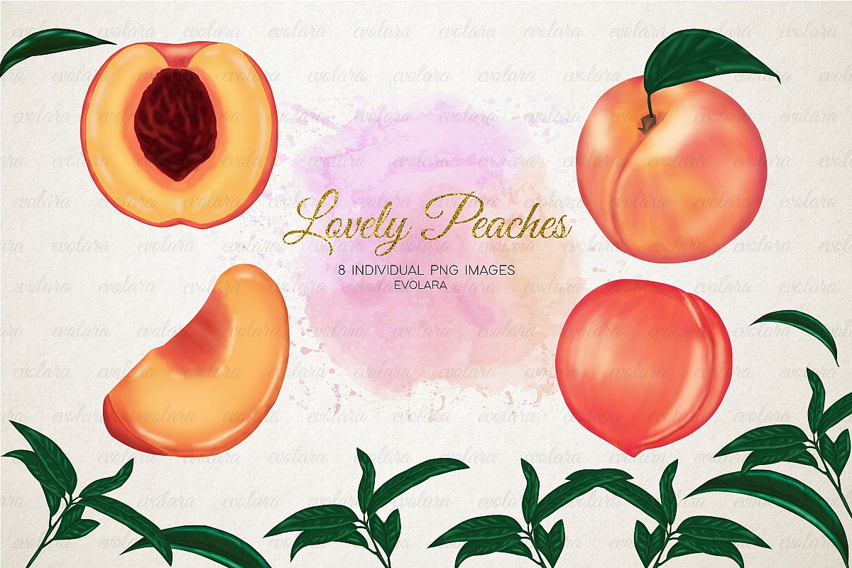 Peach Clipart Peaches Clipart Fruits Clipart Greenery example image 1