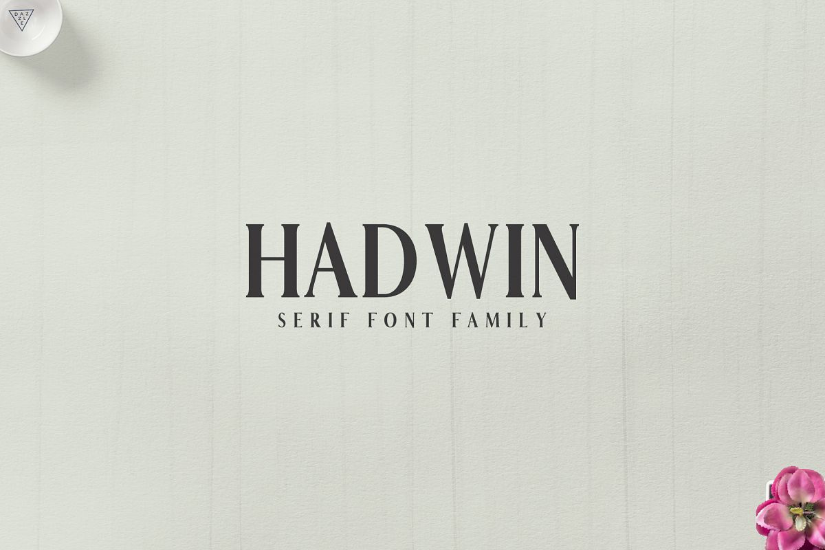 Hadwin Serif Typeface example image 1