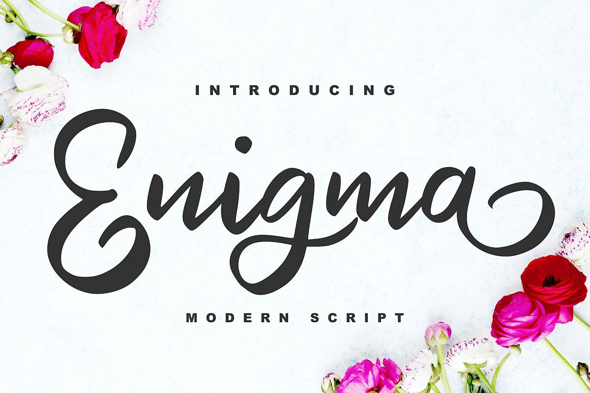 Enigma | Modern Script Font example image 1