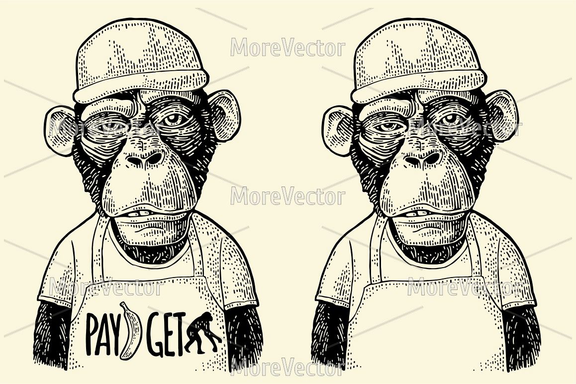 Monkeys fast food worker serving fast food dressed in cap and t-shirt. engraving example image 1