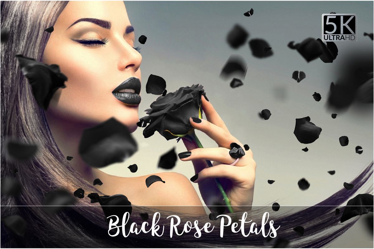 5K Black Rose Petals Overlays example image 1