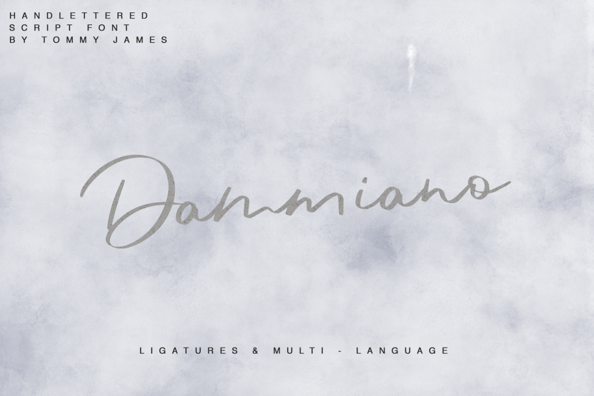Dammiano example image 1