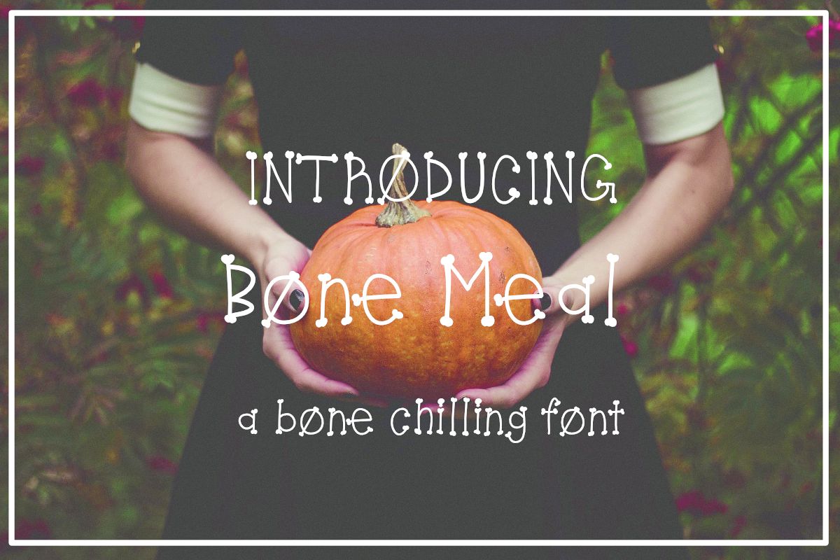 Bone Meal Font example image 1