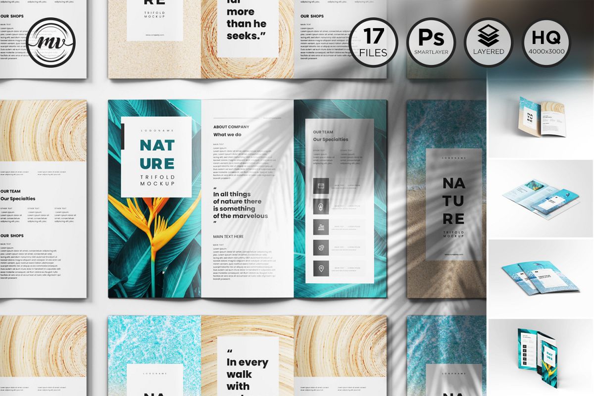 A4 Trifold Mockups V2 example image 1