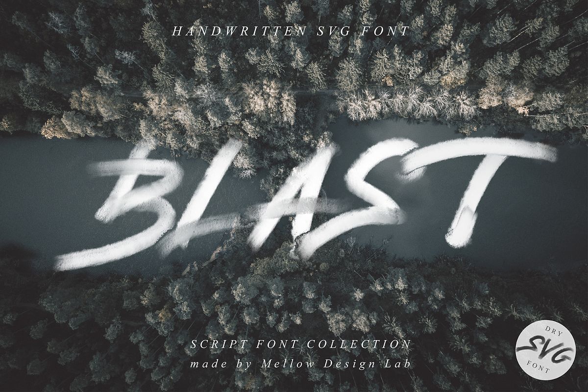 BLAST example image 1