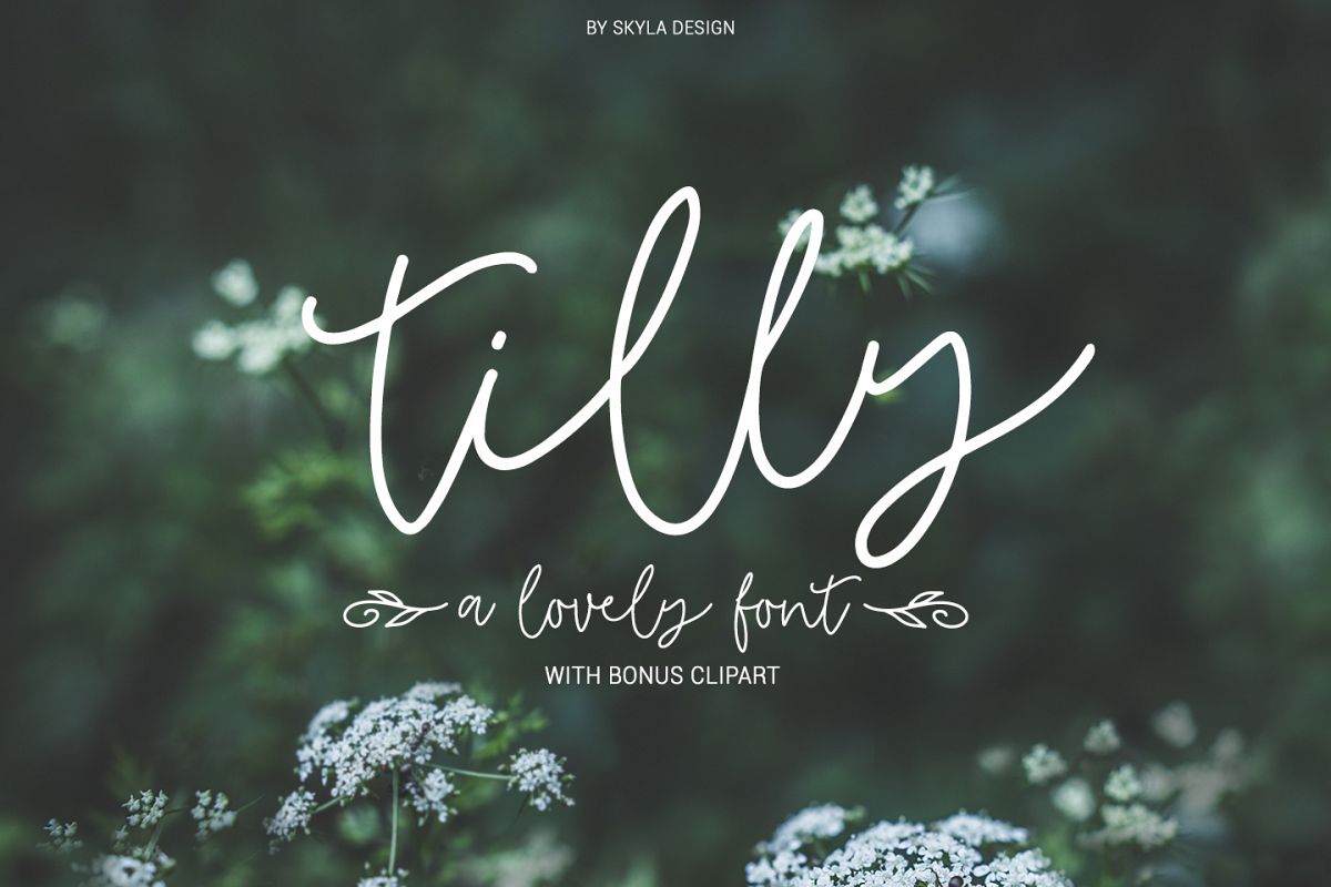 Tilly, a lovely, romantic, wedding font with bonus clipart example image 1