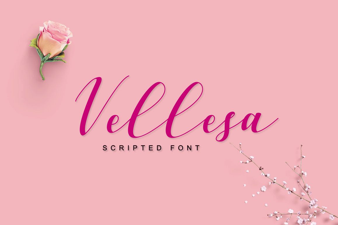 Vellesa Script example image 1