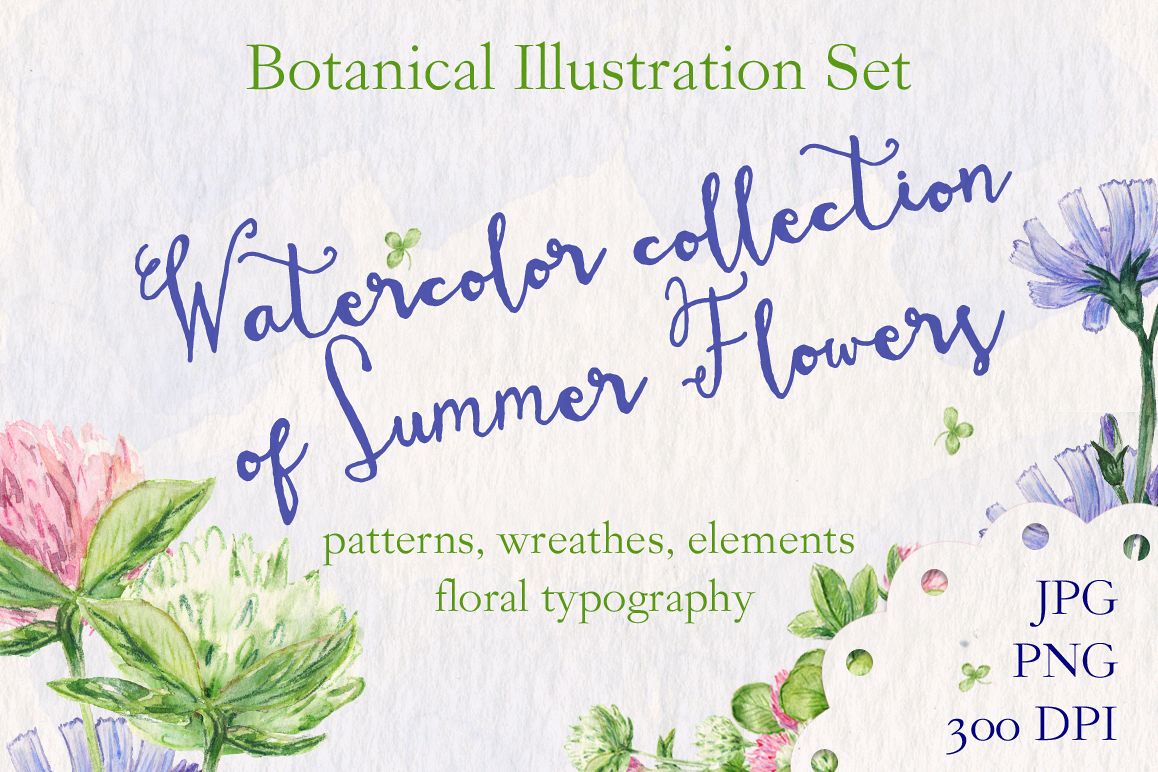 Watercolor collection of summer flowers example image 1