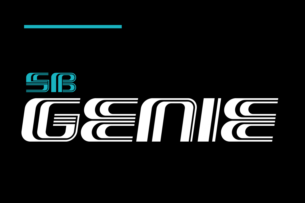 SB Genie example image 1
