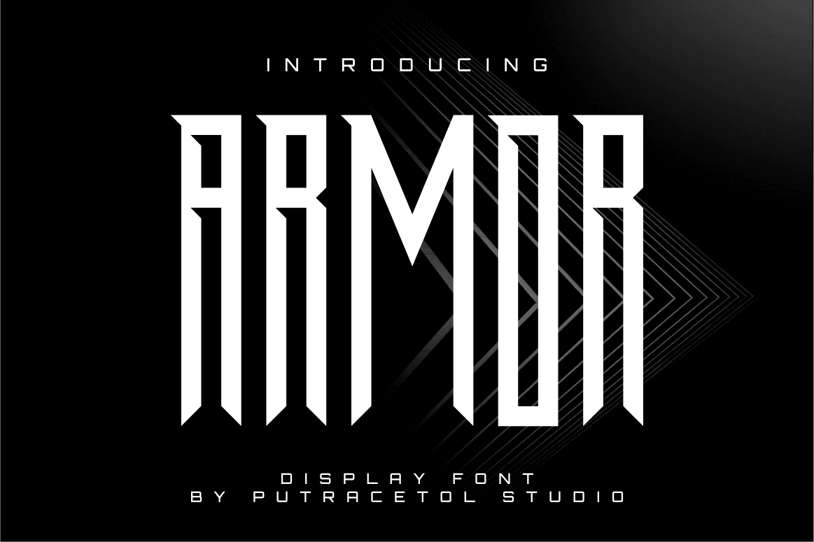 ARMOR example image 1