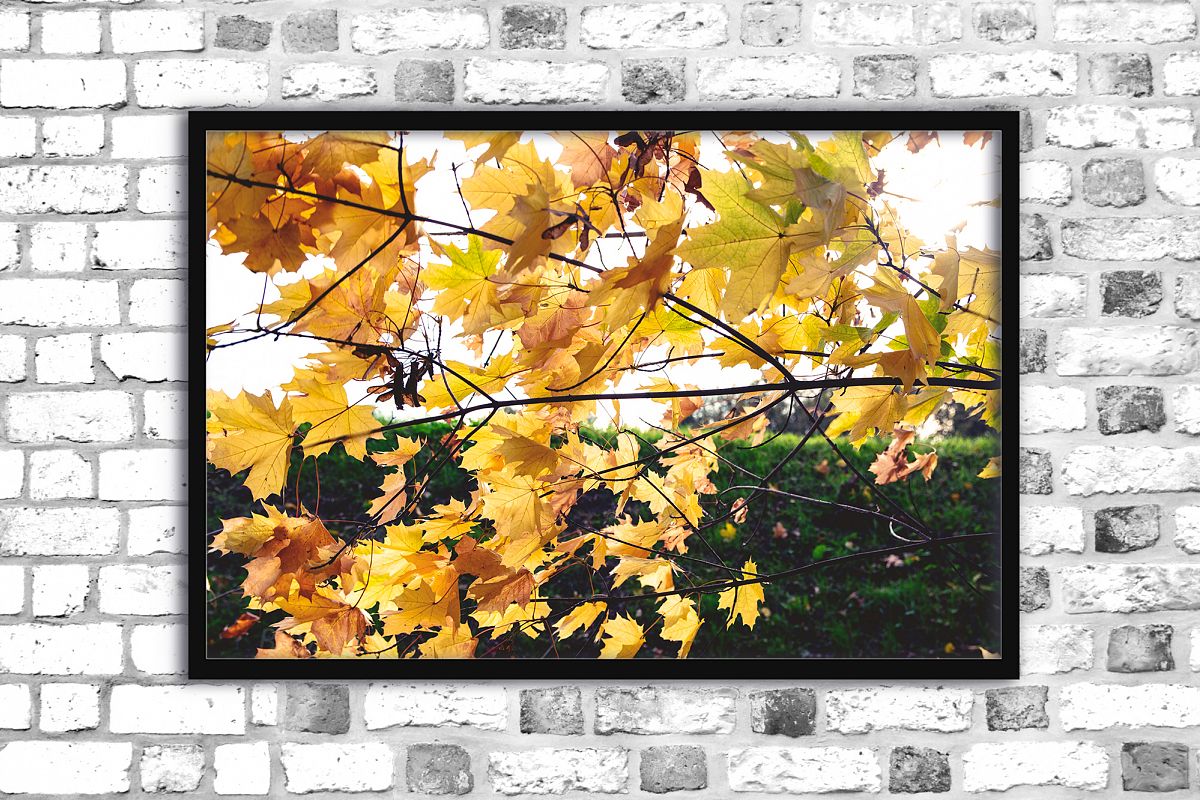 Nature photo, floral print, autumn print, floral example image 1