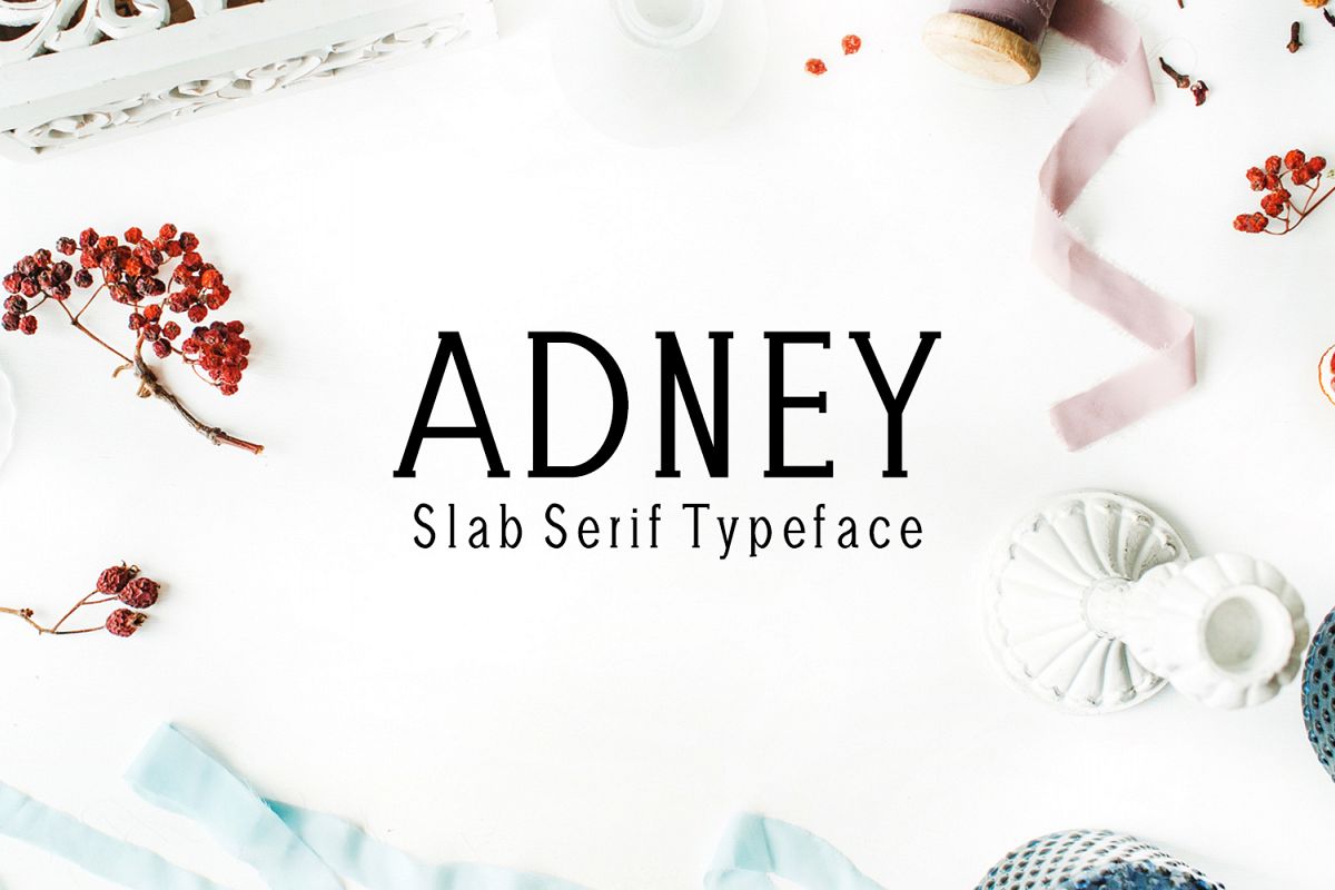 Adney Slab Serif 3 Font Family example image 1