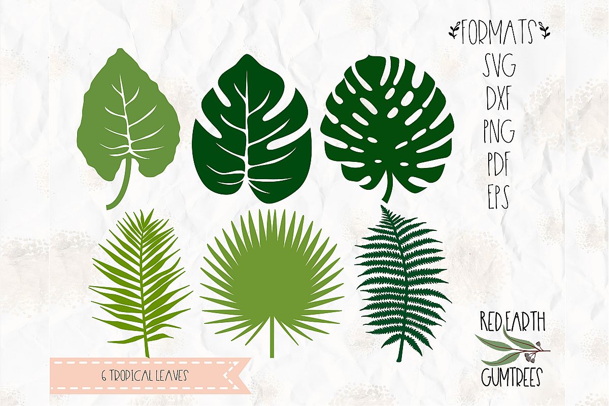 Download Tropical plants, Summer plants in SVG, EPS, PDF, DXF, PNG