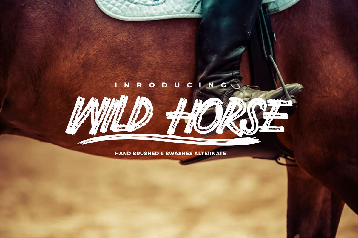 Wild Horse and Swashes example image 1