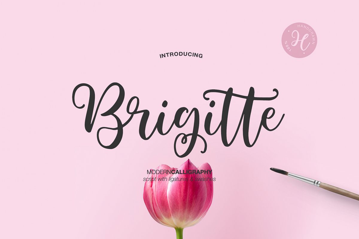 BRIGITTE SCRIPT example image 1