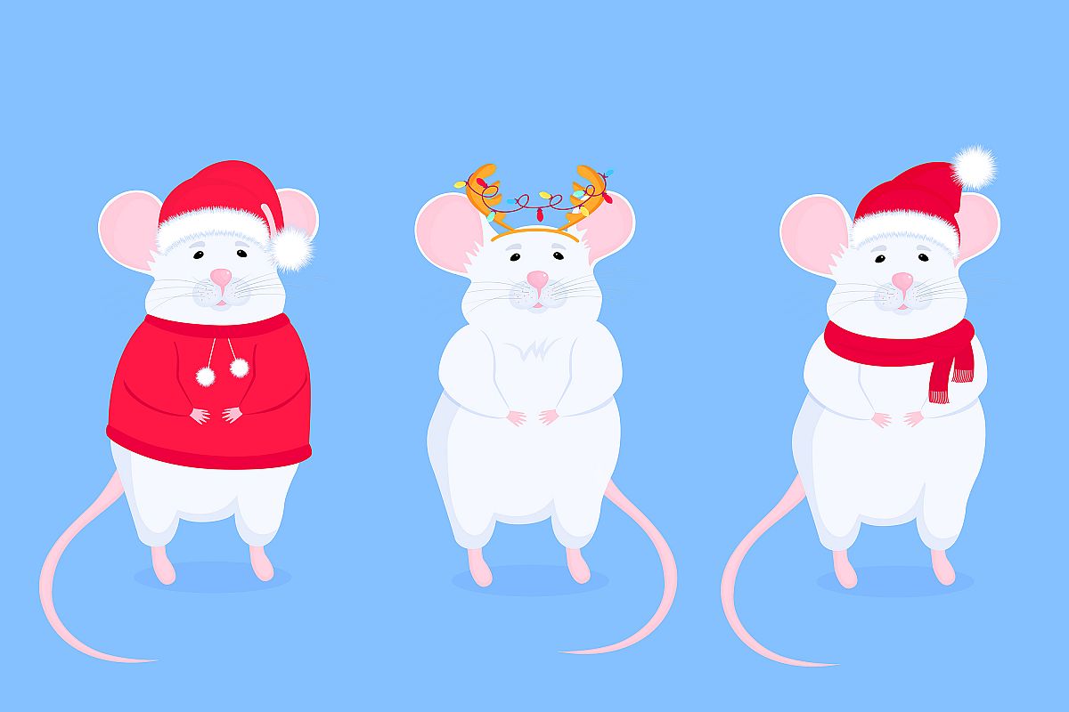 Rat in Santa s hat and with antler. Chinese New Year 2020 example image 1